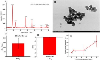 CeO2NP priming enhances the seed vigor of alfalfa (Medicago sativa) under salt stress